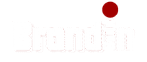 blog.brandbuildin.in